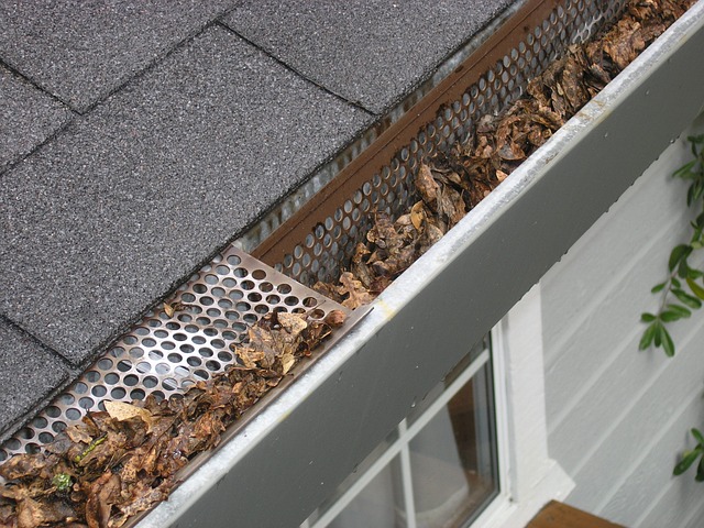 A gutter filled with leaves.